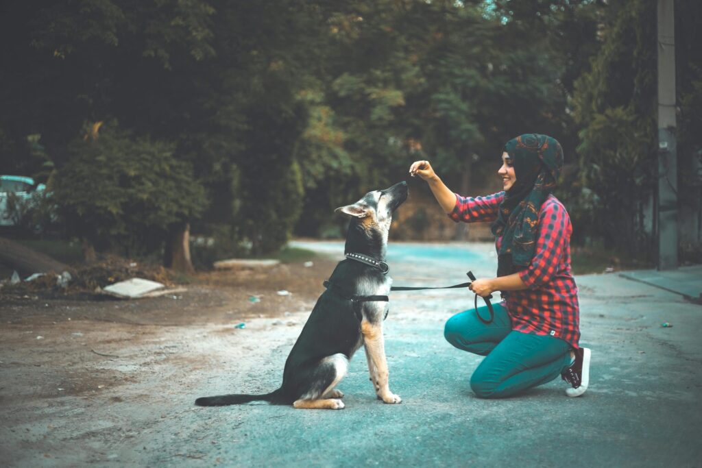 pexels photo 12655067 12655067 A woman in a headscarf trains a German Shepherd on a street, fostering a loving bond.